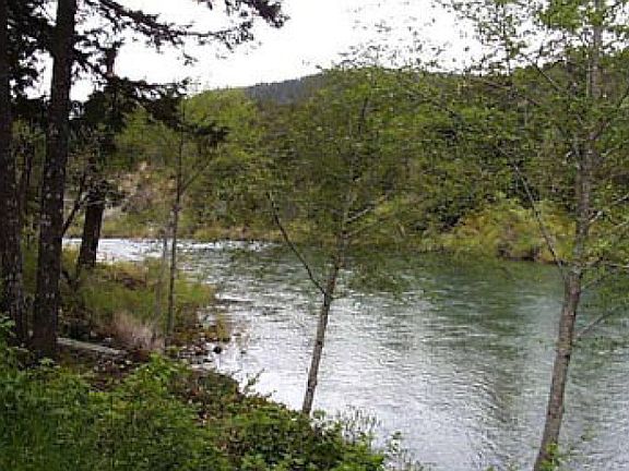 The River Downstream