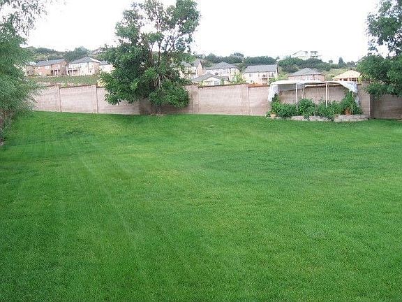 Very Large Backyard