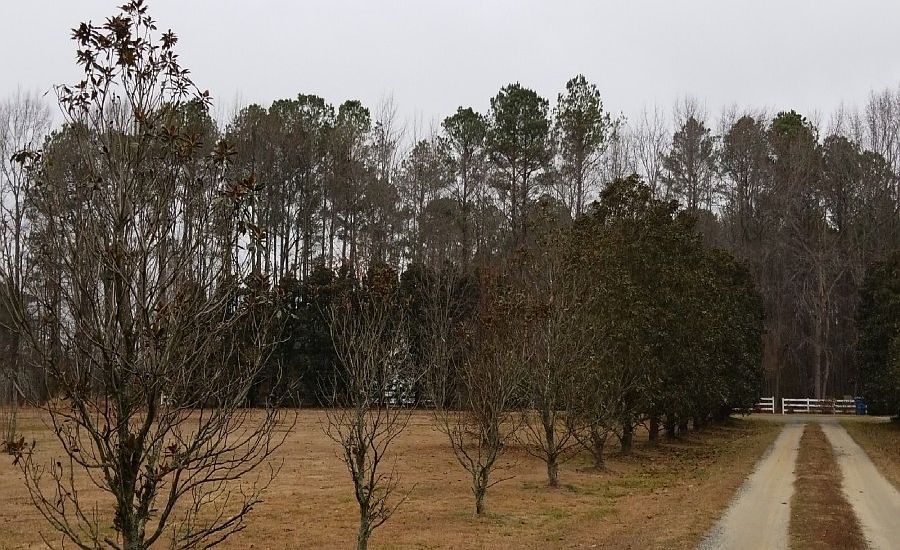 2nd image of 965 Buckley Hall Rd
