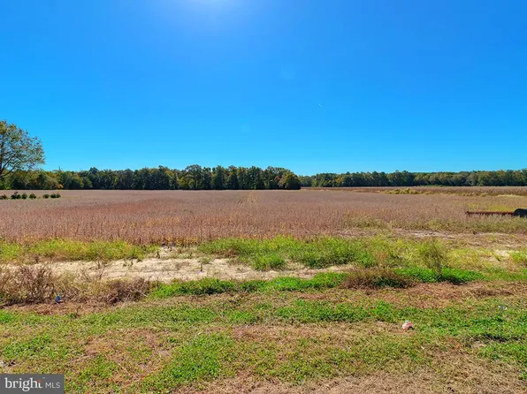 0 Harmons Hill Rd, Millsboro, DE 19966