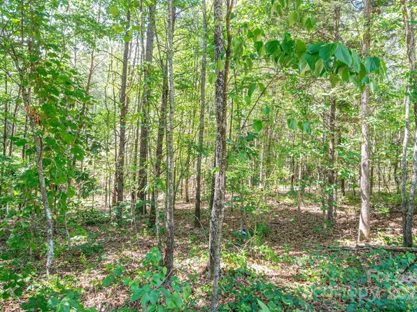 LOT 16 Meadow Crossing Dr, Rutherfordton, NC 28139