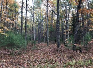 983 Chippewa Beach Road Beg Sw Cor Sec #1, Indian River, MI 49749