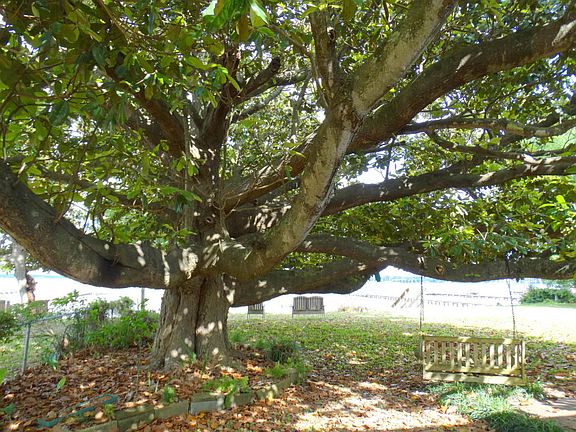 5th image of 267 Beachview Dr
