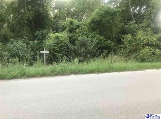 408 Syracuse St, Darlington, SC 29532