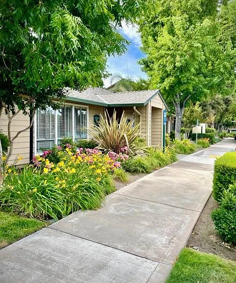 Valley Oak — Photo 5
