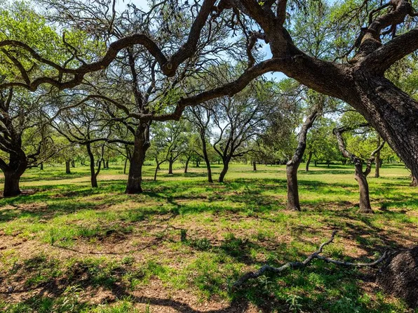 1114 Meadow Lark Dr, Fredericksburg, TX 78624