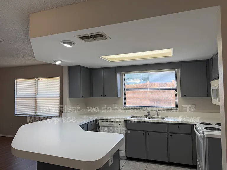 7337 Cone Shell Dr — Photo 6