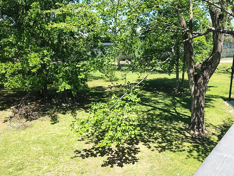 Gorgeous view from 2nd floor deck.