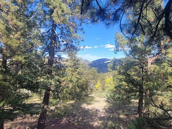 505 Buck Dr, Guffey, CO 80820