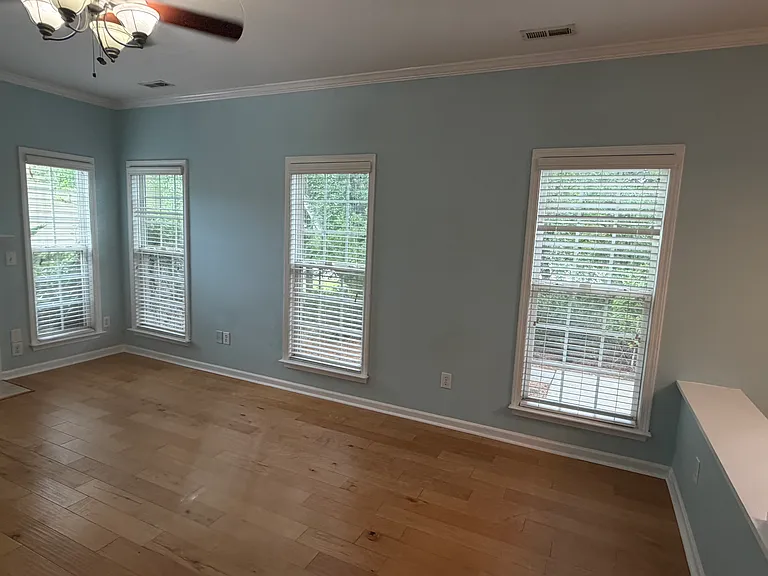 142 Hilda Grace Ln — Photo 8