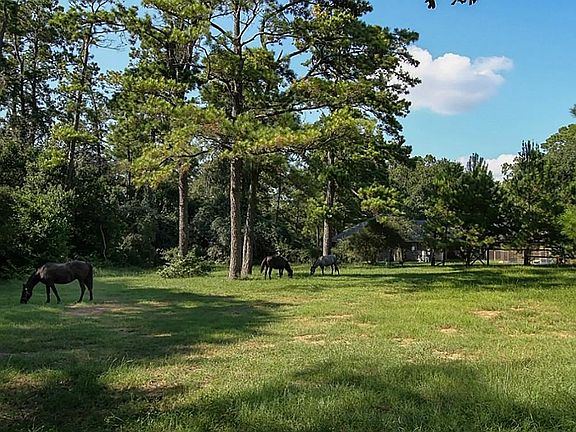 Pastures are perfect for the horses!