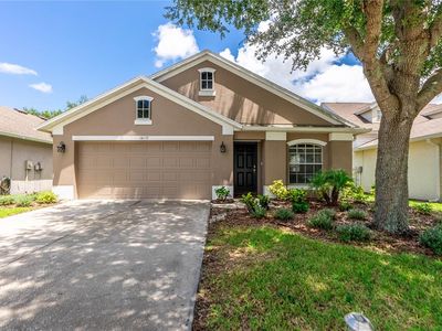 14157 Lemon Yellow Tree Ln, Brooksville, FL, 34613
