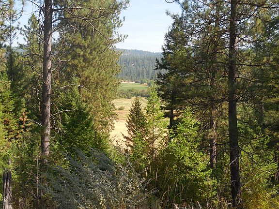 View of River