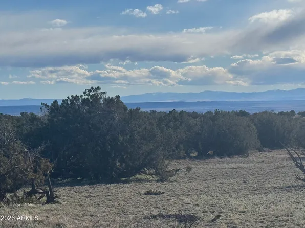Lot 93 Red Sky Ranch -- #93, St Johns, AZ 85936