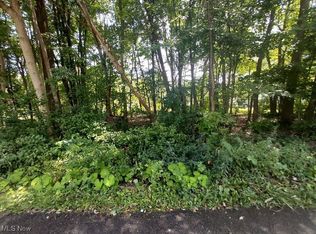 Lundys Ln LOT 1253, Lake Milton, OH 44429
