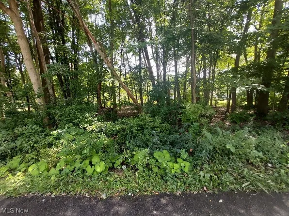 Lundys Ln Lot 1253, Lake Milton, OH 44429