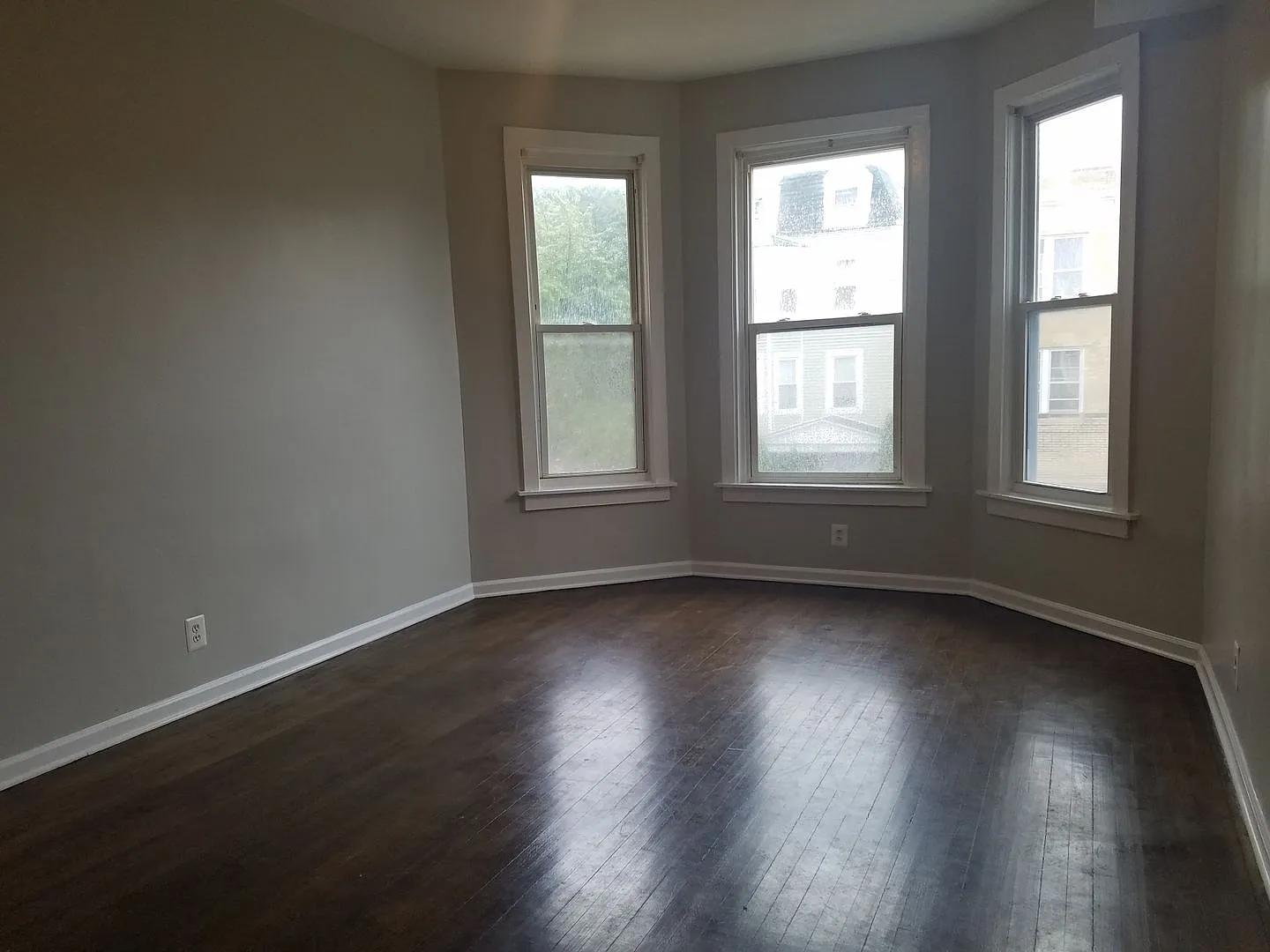 2308 Mango ALBANY — Photo 4