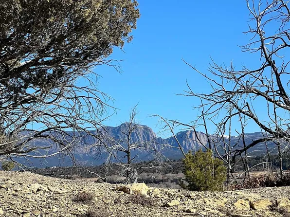 Willow Crk, Los Ojos, NM 87551