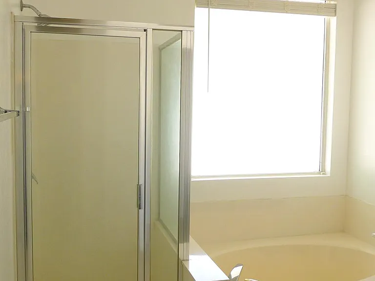 Master bathroom- walk-in shower, tub