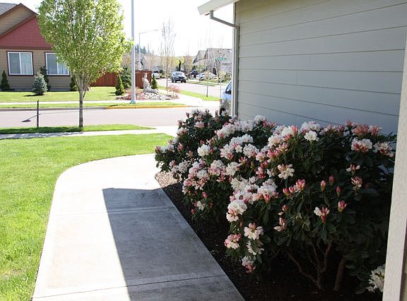 5th image of 1753 NW Woodland Dr