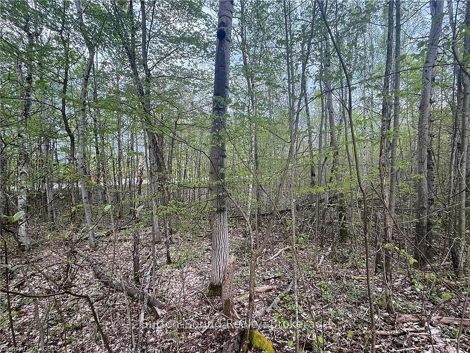 2nd image of LOT 5 Grey St S #1