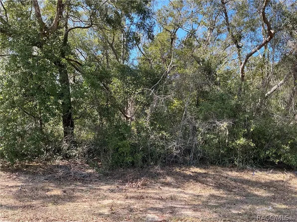 1534 W Magenta Dr, Citrus Springs, FL 34434