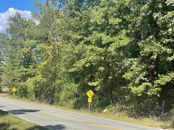 2nd image of Congo Rd