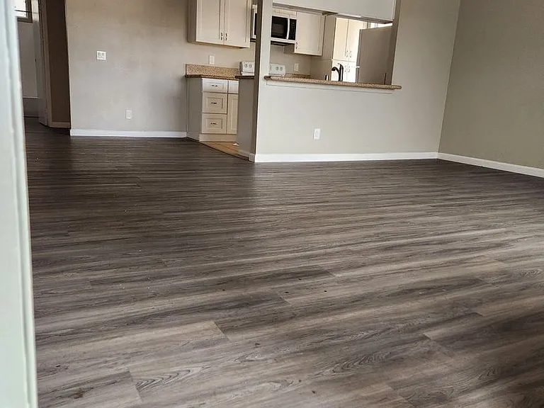31932 Del Cielo Este — Photo 24