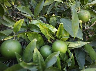 505 N San Marcos Rd, Santa Barbara, CA 93111