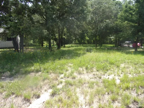 Mesquite Ln, Murchison, TX 75778
