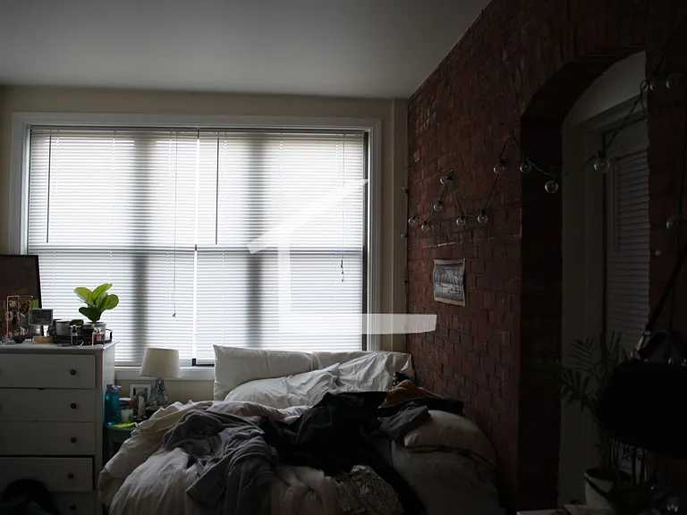 191 Winthrop Rd #2 — Photo 19