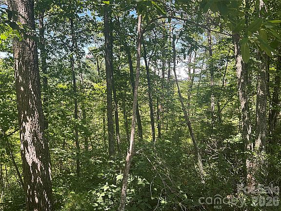 2nd image of LOT 67 Treetops Ln