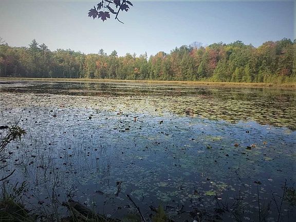 5th image of W Shay Lake Ln