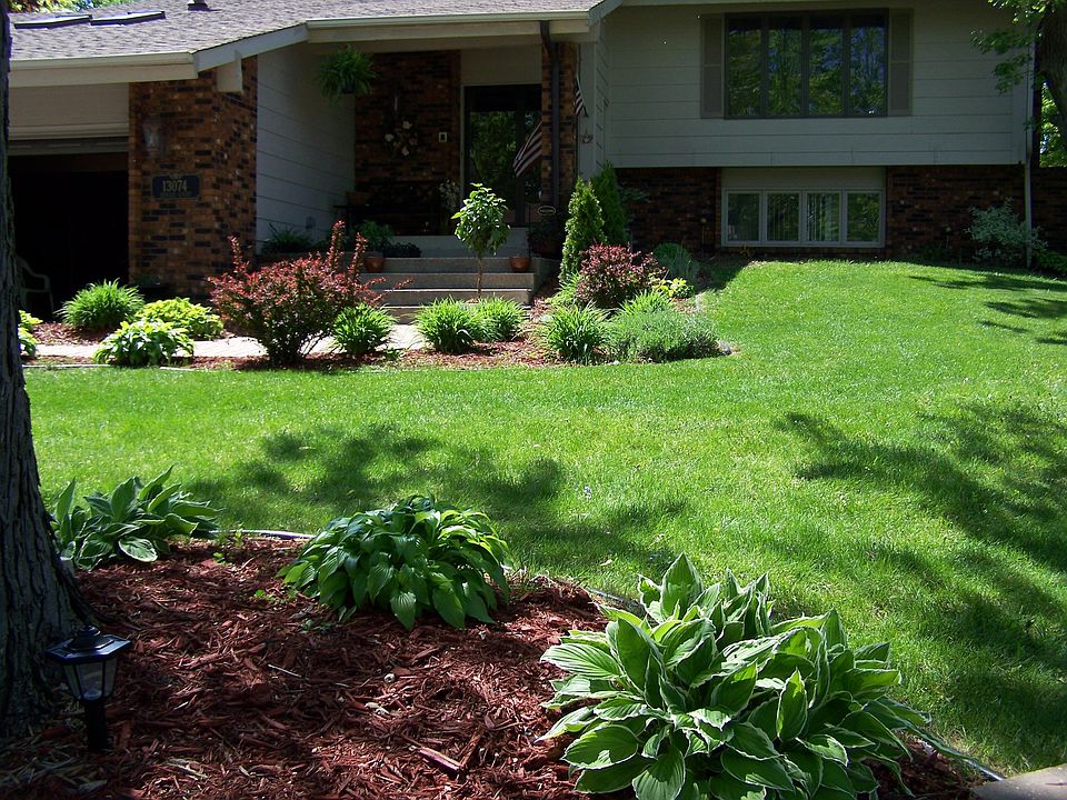 Front Yard