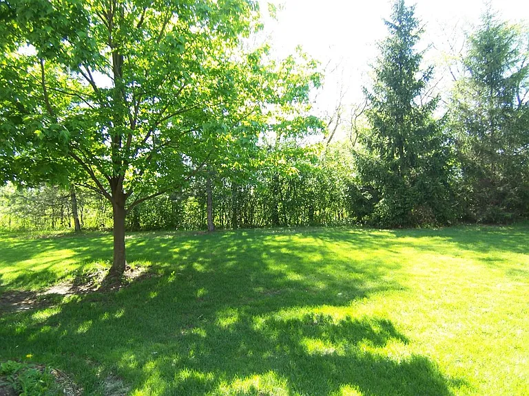 3356 Bent Trail Dr — Photo 18