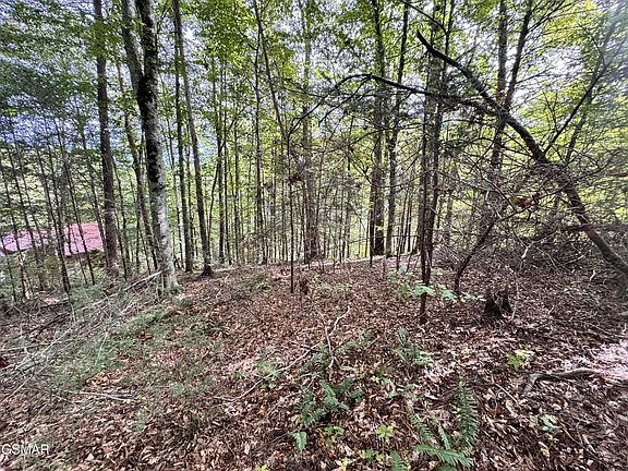 3rd image of 90 Owls Cove Way Lot 90