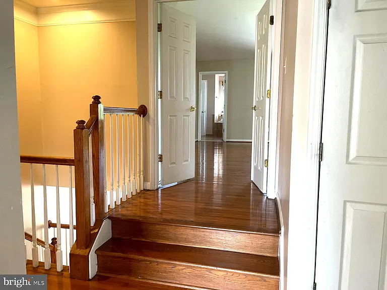 24780 Carbonate Ter — Photo 12