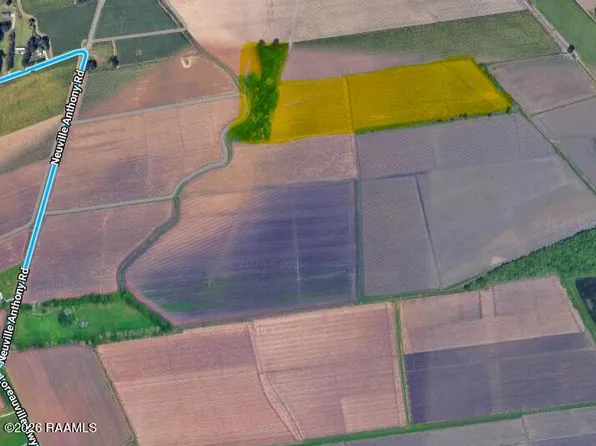 Neuville Anthony Rd, Saint Martinville, LA 70582