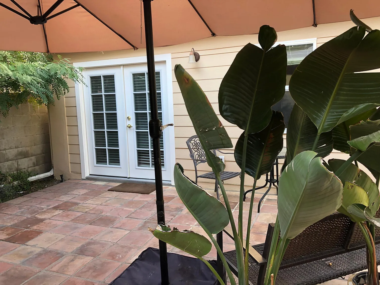 Studio, 550 sqft, $1,975 — Photo 1