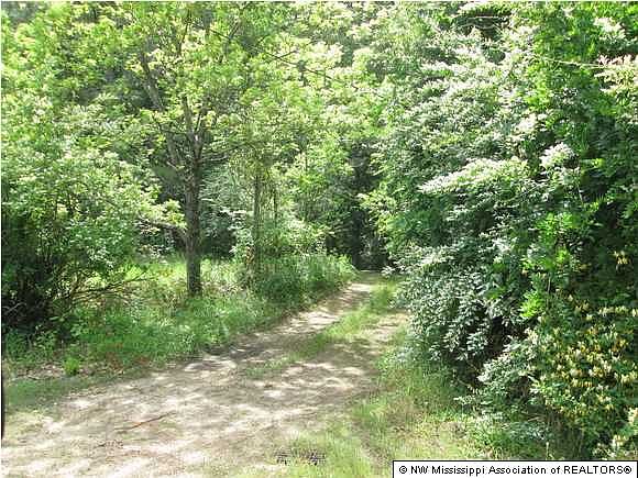 1st image of 297 Scenic Dr