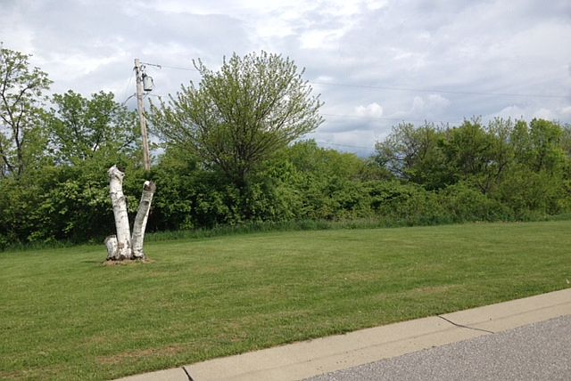 2nd image of 6785 Shadowlawn Dr