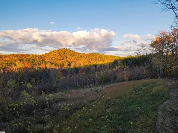 (undisclosed Address), Travelers Rest, SC 29690