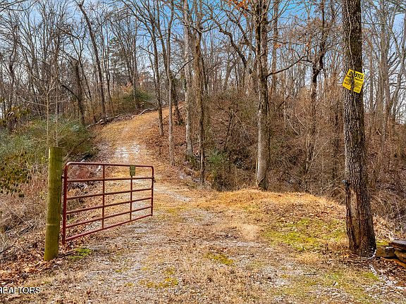2nd image of 4129 Bear Hollow Loop