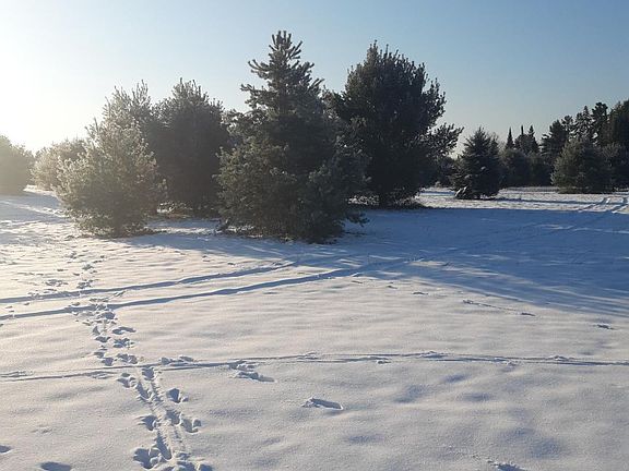 2nd image of Lot 4 S MERCER LAKE CIR