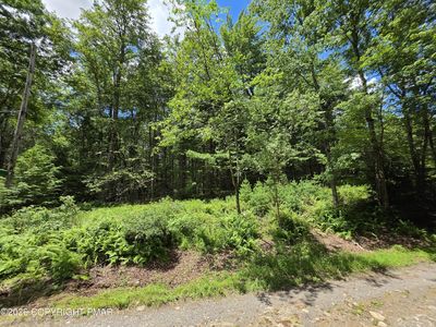 LOT 17 Ten Zoe Rd, Blakeslee, PA, 18610