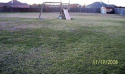 Large Backyard