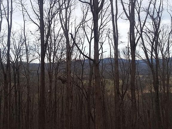 2nd image of 494 Old Cherry Mountain Trl