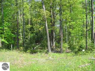 LOT 30 Hidden Dunes Dr, Kewadin, MI, 49648