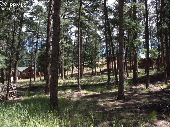 N Walnut St, Woodland Park, CO 80863