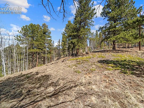 5th image of 196 Beaver Creek Cir